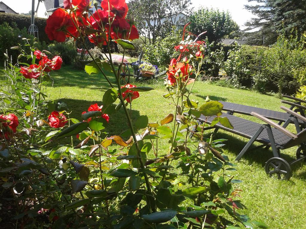 Fewo Sonnenblume Даун Екстер'єр фото
